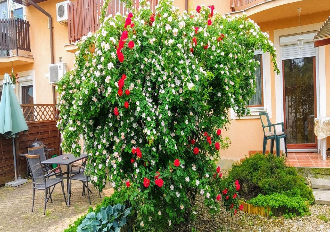 Hellasz Apartman Gyula Esterno foto